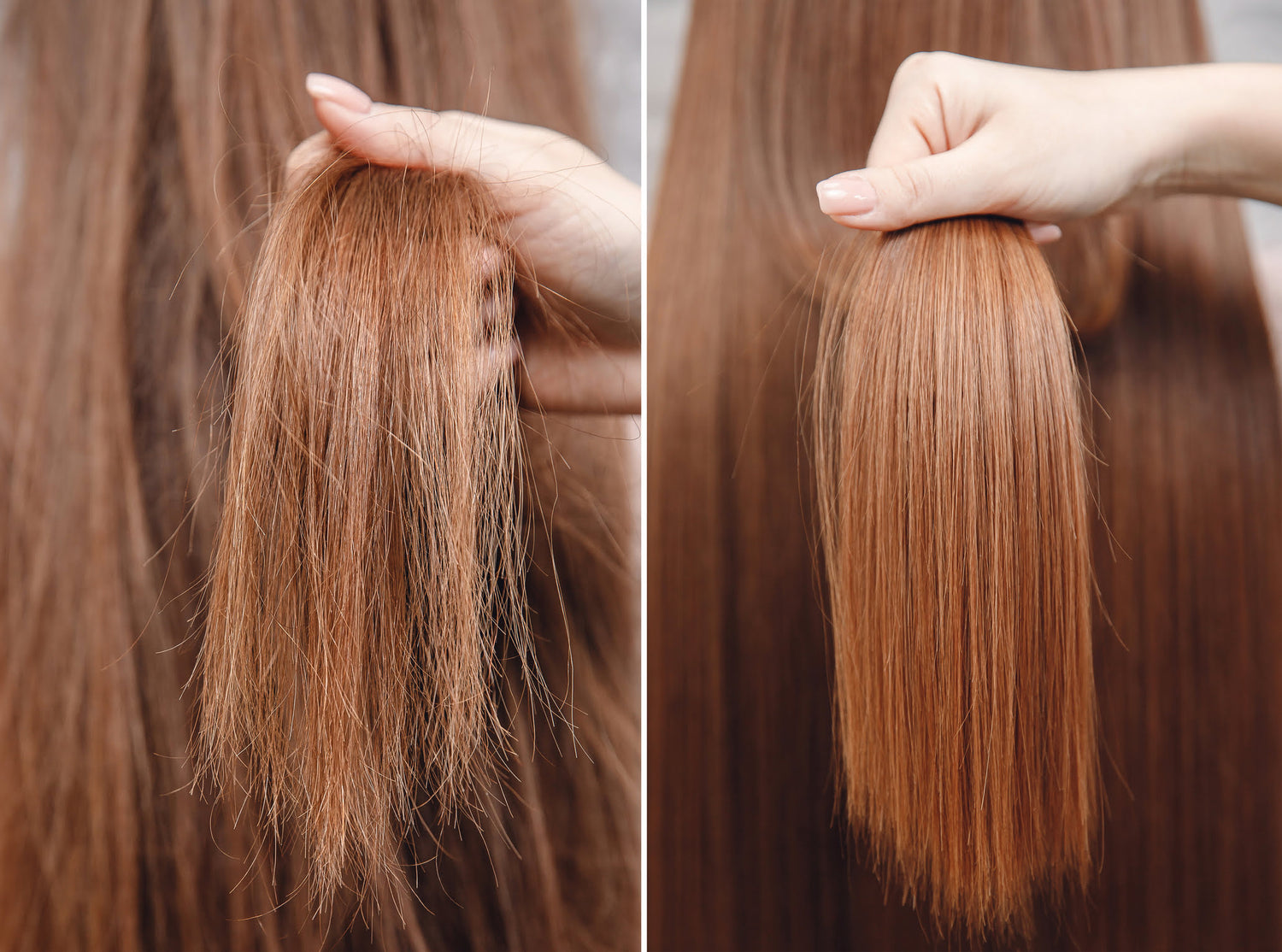 Split-image showing hair before and after hair rejuvenation treatment: one side with dull, thinning strands, and the other with thick, shiny, and healthy-looking hair, highlighting the results of IV nutrient therapy