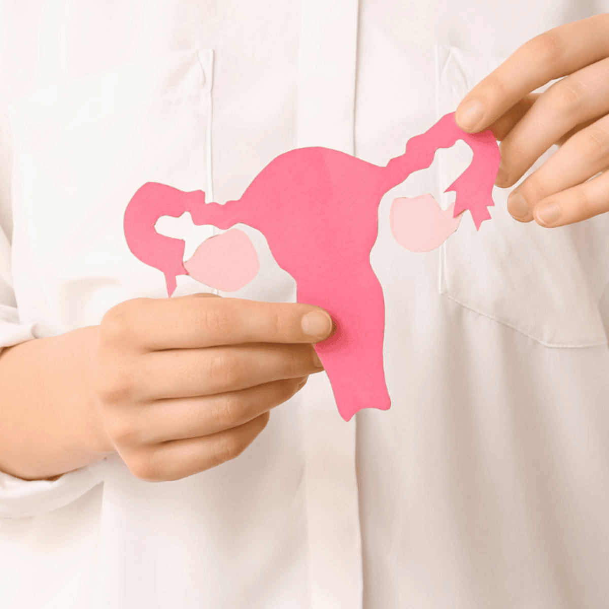menstrual & hormonal health check up